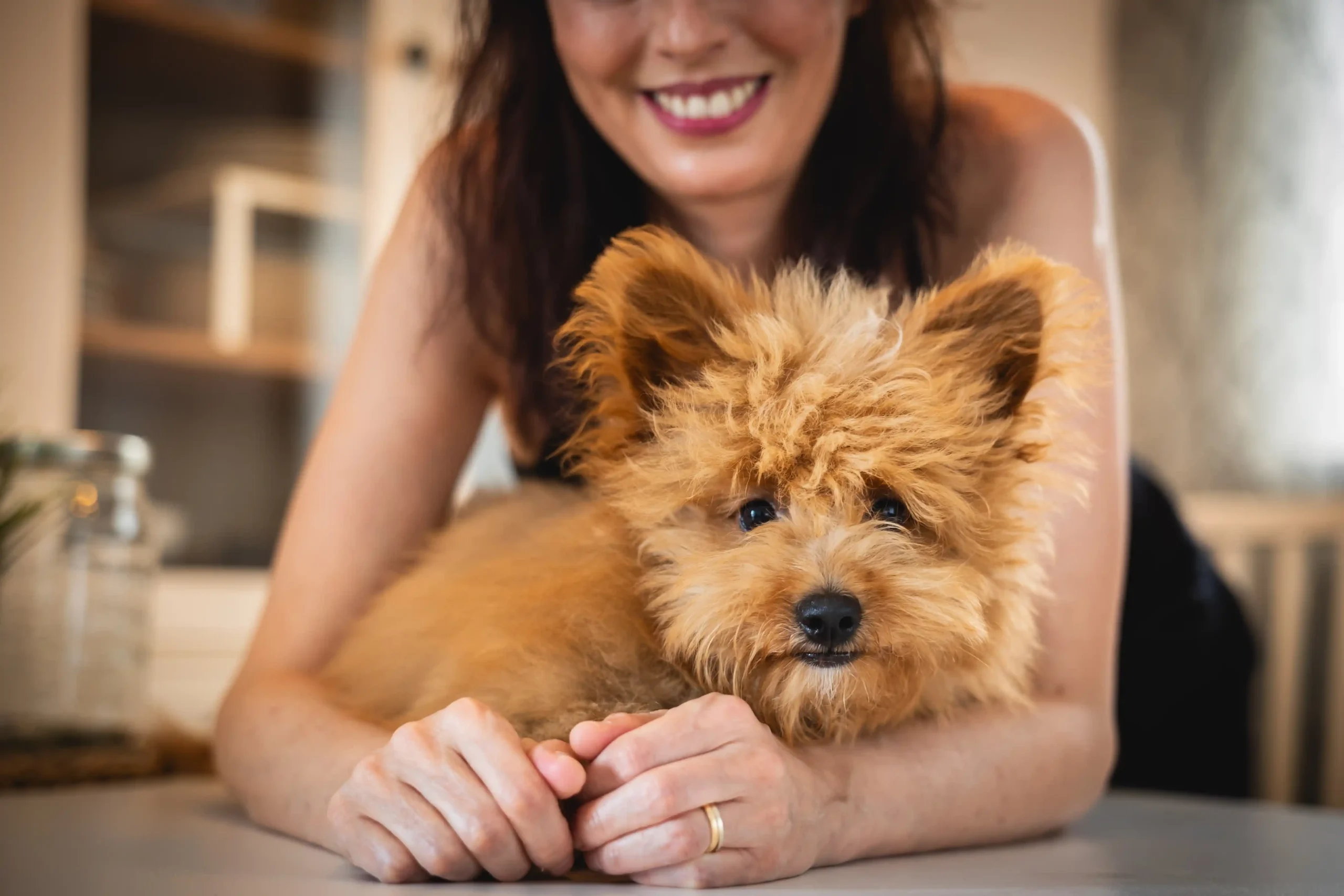 Sesión de fotos con mascota en Barcelona